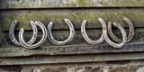 Horse-Shoes-878068_640