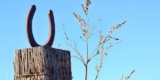 Horseshoe-2862711_640