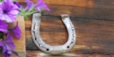 Horseshoe-590480_640