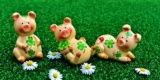 Lucky-Pig-2402895_640