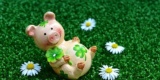 Lucky-Pig-3838149_640